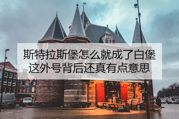 si-te-la-si-bao-zen-me-jiu-cheng-le-bai-bao-zhe-wai-hao-bei-hou-hai-zhen-you-dian-yi-si-2-409.jpg